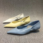 Women's Low Heel Pointed Toe Slip-On Pumps — Elegant Casual Shoes